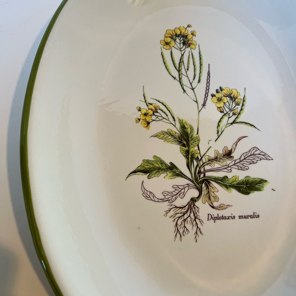 Vintage Italian Large Ceramic Bowl/Platter Featuring a Botanical Illustration - Picture 6 of 9
